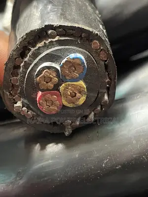 25mm 4core Armored Cable Coleman