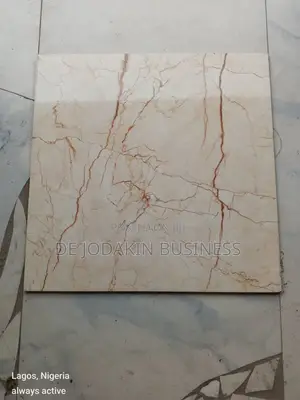 60x60 Glossy Finishing Floor Tile