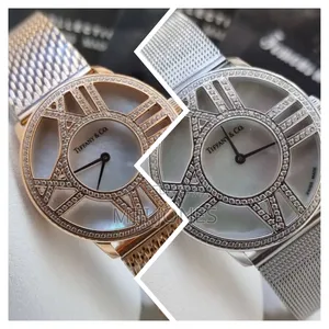 Tiffany & Co Inspired Mesh Chain Watch