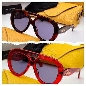 Loewe Inspired High Grade Sunglasses