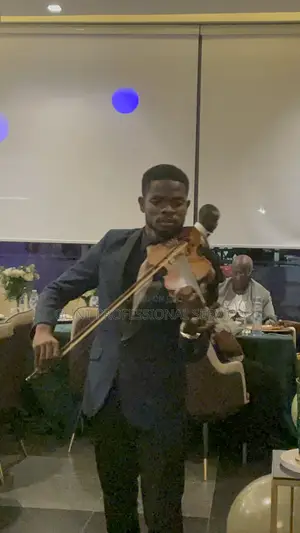 Wedding Proposal and Dinner Violinist