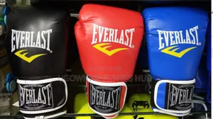 Everlast Boxing Gloves,