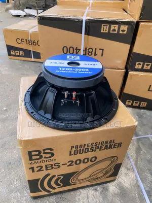 12inch Bs Speaker