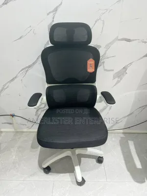 Beautiful Ergonomic Swivel Chair