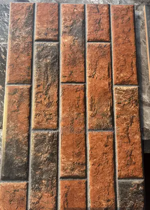 Porcelain Wall Tiles ( 25 by 45)