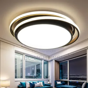 Modern Led Ceiling Fitting Light