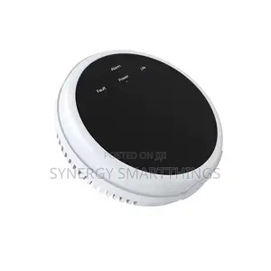 Rf Portable Gas Leakage Detector Connected To The Host Alarm System