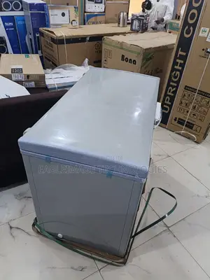 Energy-Saving Bona 318l Solar Chest Freezer (12v/24v)