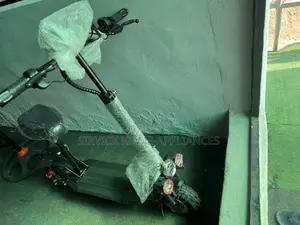 Electric Scooters