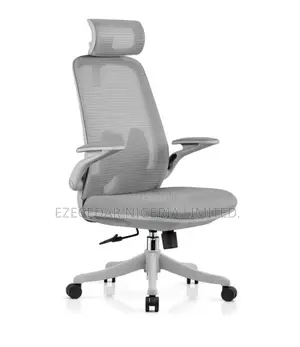 Main Office Chair 