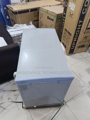 318l Bona Solar Freezer - Enough Room For All Your Needs