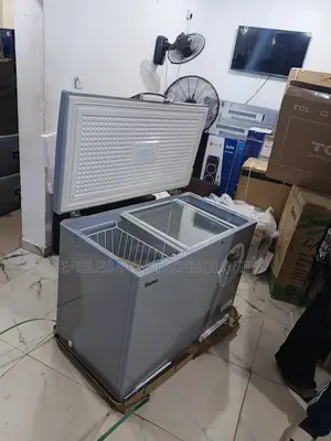 Start Your Frozen Food Business With Bona 318l Solar Freezer