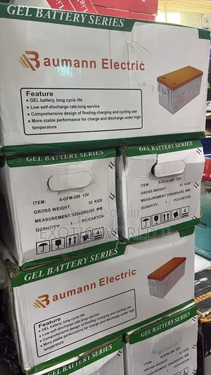 Baumann 200ah 12v Drycell Battery For Solar Inverter