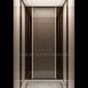 High Performance Modern Glass Passenger Lift