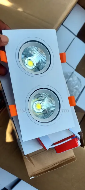 Led Double Spot Light