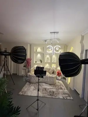 Electra Studio Goldwing