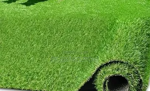 Quality Grass Carpet