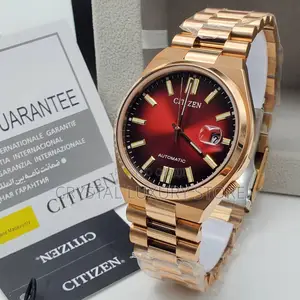 Citizen Quality Luxury Men Chain Strap Wristwatch