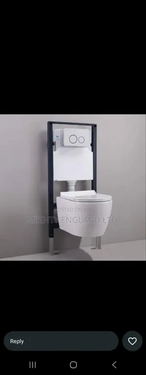 Wall-hung Toilet With Concealed Tank And Carrier System