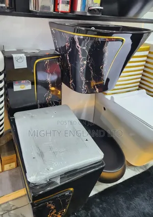 Black and Gold Luxury Water Closet Set and Wall-Mounted Washbasin