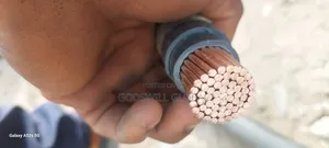 500mm Single Nigerchin