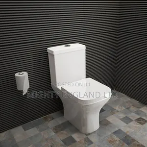 Close-coupled Ceramic Water Closet Toilet Seat
