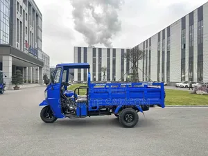 New Tricycle 2026 Blue