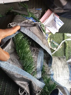 Football Grass