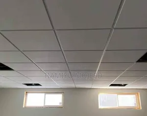 Suspended Ceiling