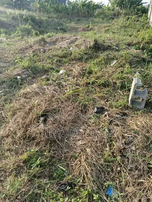 Half Plot of Land With C of O for Sale in Ishefun Ayobo