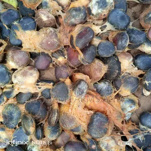 Ugwu Seeds