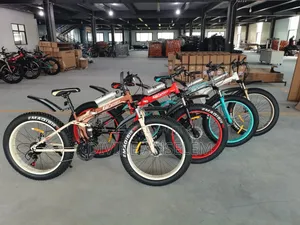 Spot Bicycle