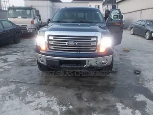 Ford F-150 2014 Blue