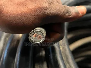 4mm 2 Core Armoured Cable Nigeria Pure Copper