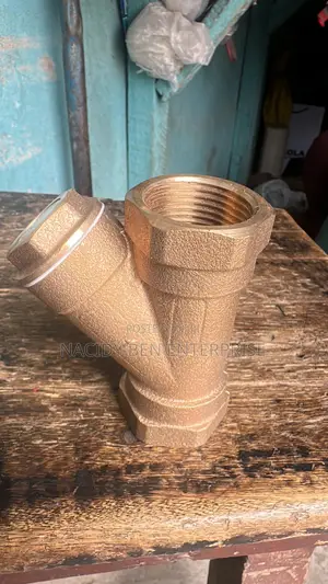 Germany Brass Y- Strainer Screen