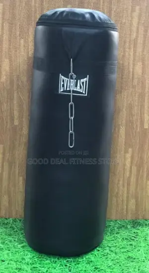 Everlast Big Size Puching Bag