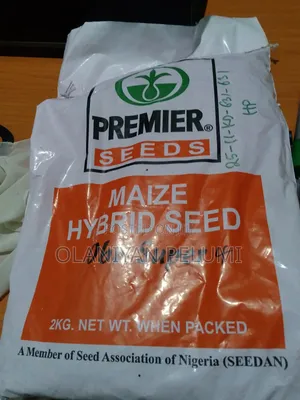 Maize Hybrid Seeds