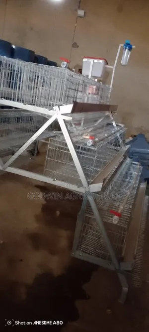Birds Cage (Hot Deaply Galvanized 120birds)