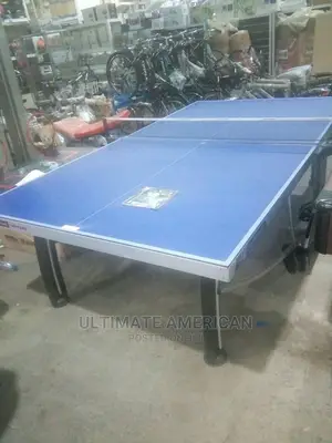 Brand New France Table Tennis Outdoor