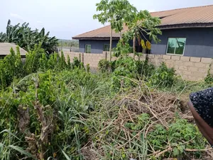 Full Plot of Land on the Road