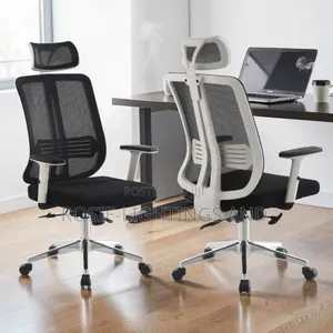 High Back Ergonomic Mesh Office Chair With Headrest - White Back