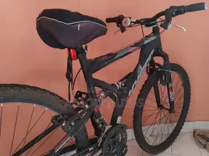 Bear Mountain Mountain Bike – Great Condition