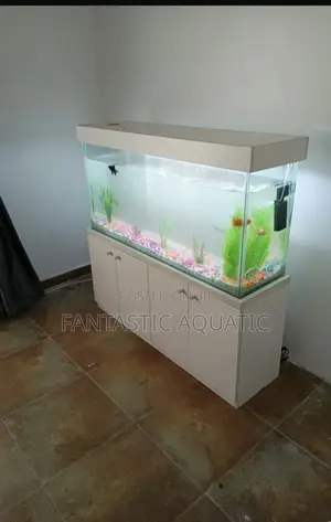 Complete Aquarium