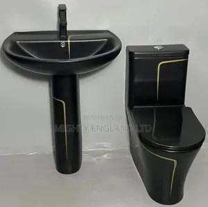 Luxury Black Ceramic Pedestal Sink and Matching Toilet Set