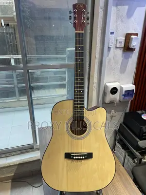 Acoustic Box Guitar