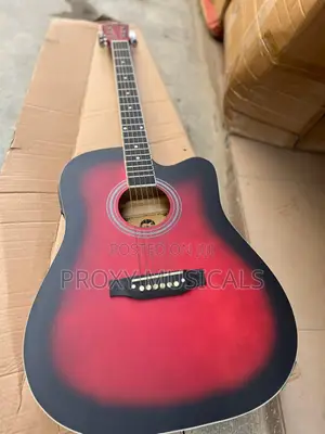 Electroacoustic/Semi Acoustic Guitar
