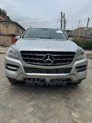 Mercedes-Benz M Class 2014 Silver