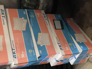Flood Light