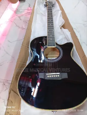 Electro Acoustic Guitar Simger 41inches