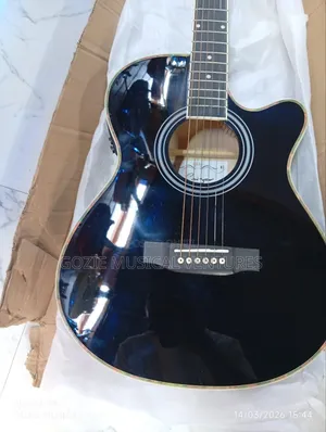 Electro Acoustic Guitar Simger 41inches